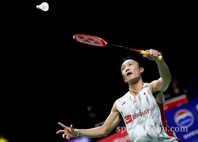 的24分不 的24分不