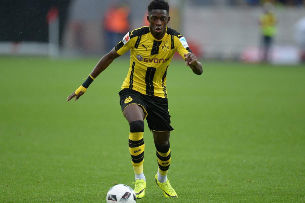 未来展望 未来展望